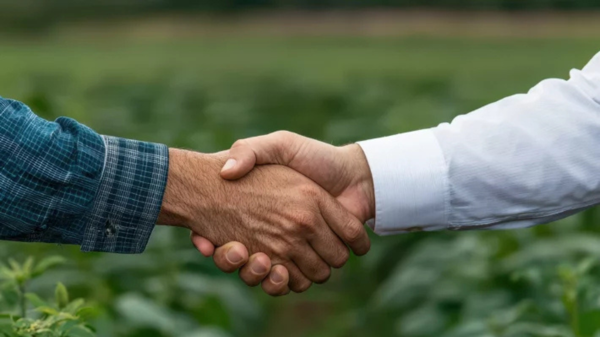A imagem de um aperto de mãos simboliza a negociação e acordos, representando o serviço de negociação de dívidas rurais.