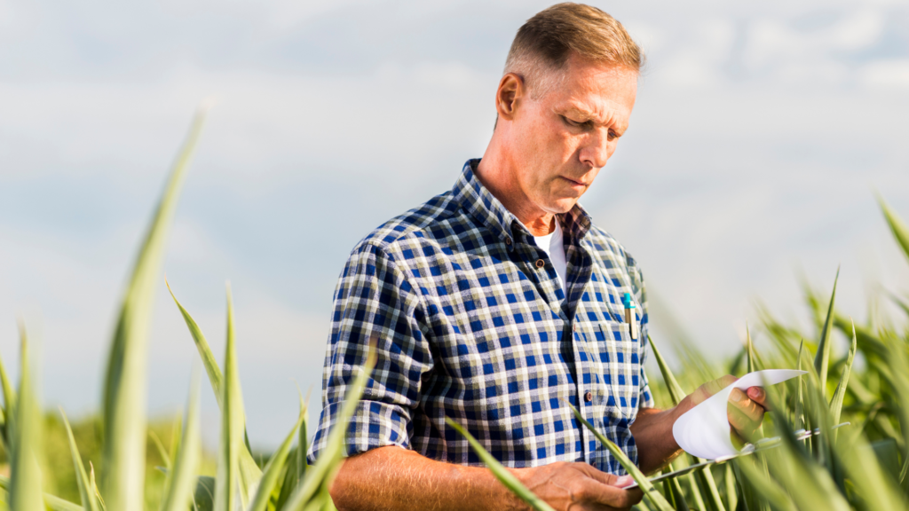 A imagem de um produtor rural analisando documentos em sua plantação, ilustra o serviço de assessoria jurídica para produtor rural e direito bancário.
