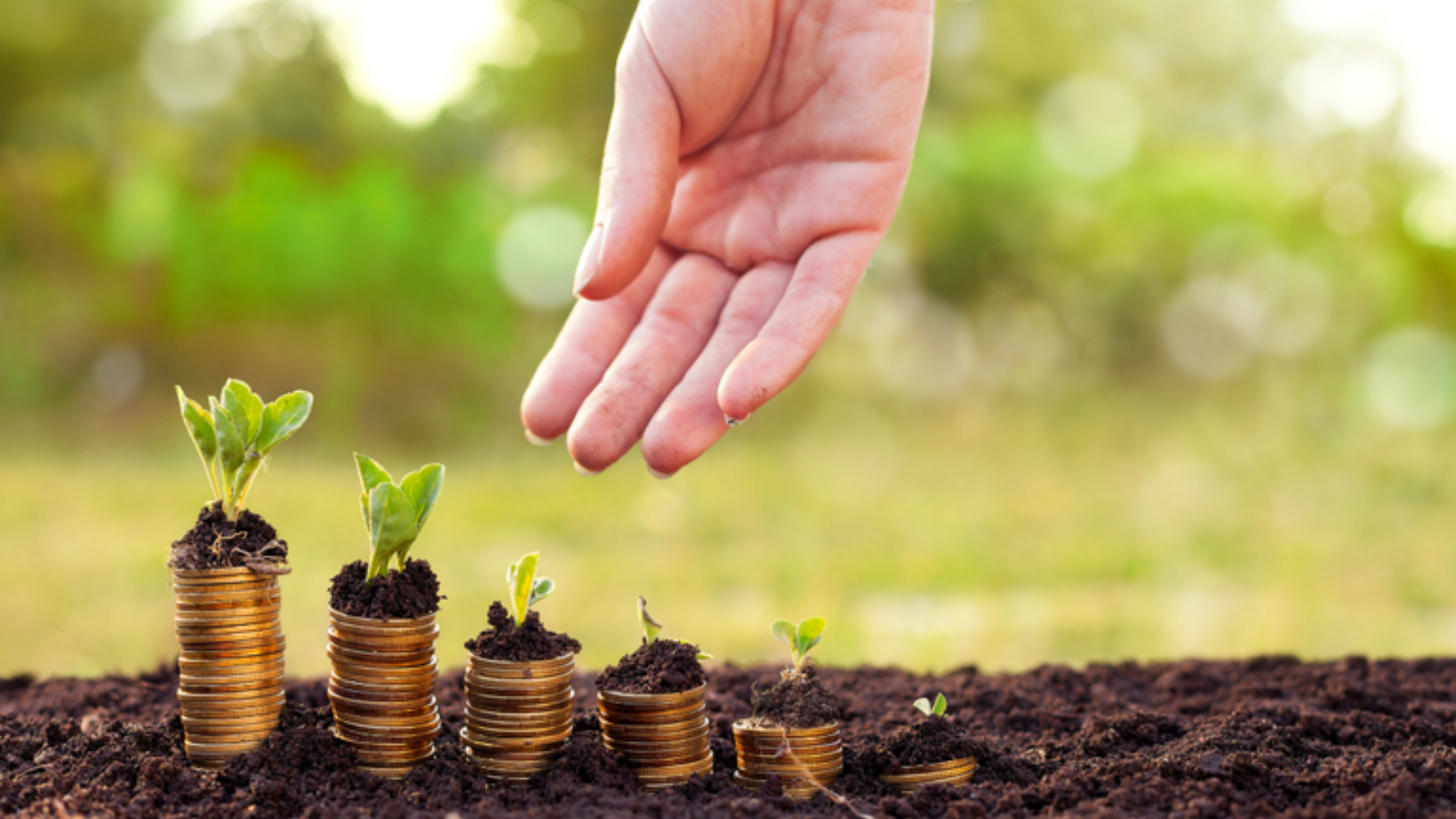 A imagem simboliza o crescimento e a recuperação financeira, representando o serviço de recuperação judicial rural.