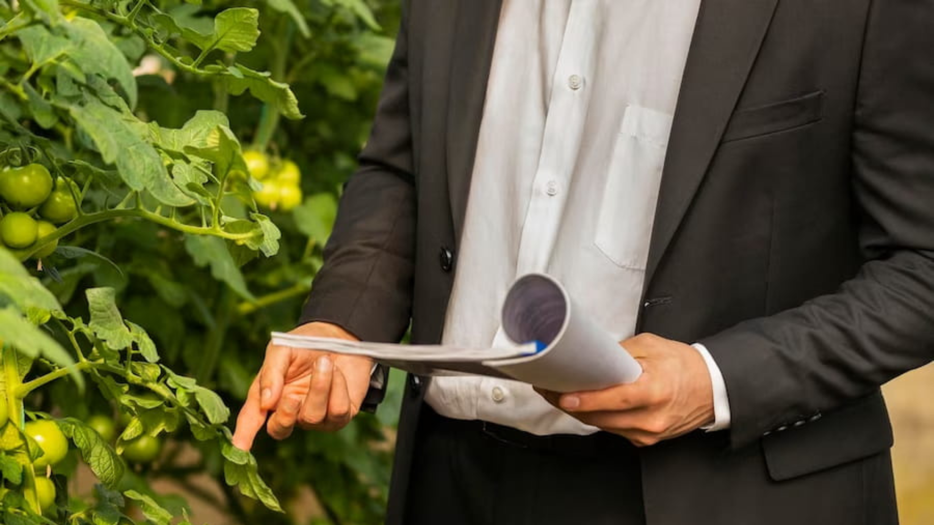 A imagem representa o serviço de revisão de contratos rurais e a assessoria jurídica para produtores rurais.