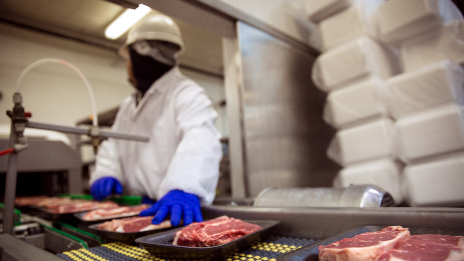 Planejamento tributário para indústria alimentícia com redução de impostos e benefícios da reforma tributária para indústria de alimentos